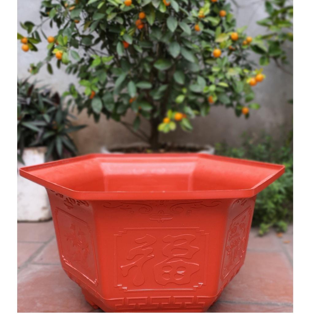 Chậu nhựa lục giác Phúc, Lộc, Thọ L23 đa sắc màu