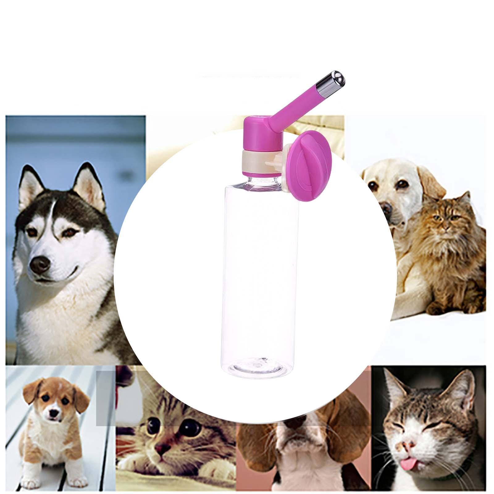 Cat Water Drinking Fountains Cage Dog Pink