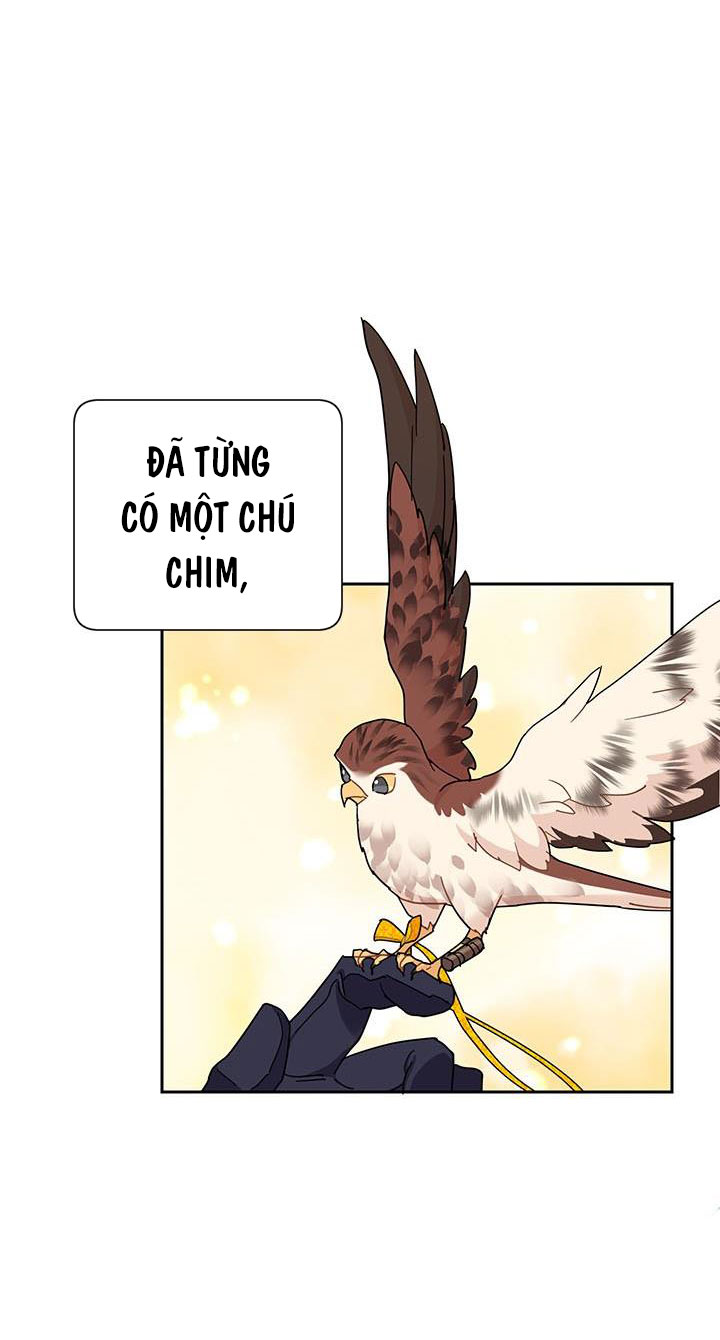 công chúa của loài chim chapter 40.1 46