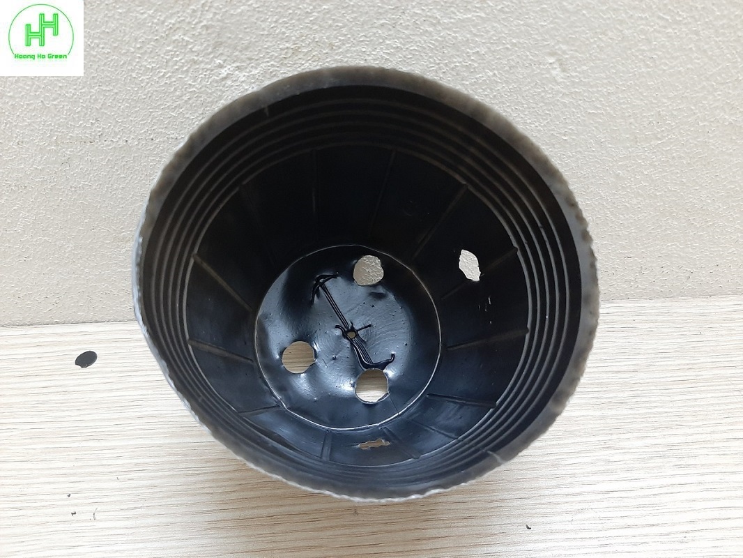 1 kg chậu nhựa mềm ươm cây 12x10 - bịch, túi bầu ươm cây 12x10; 1kg = khoảng 420-450 chiếc