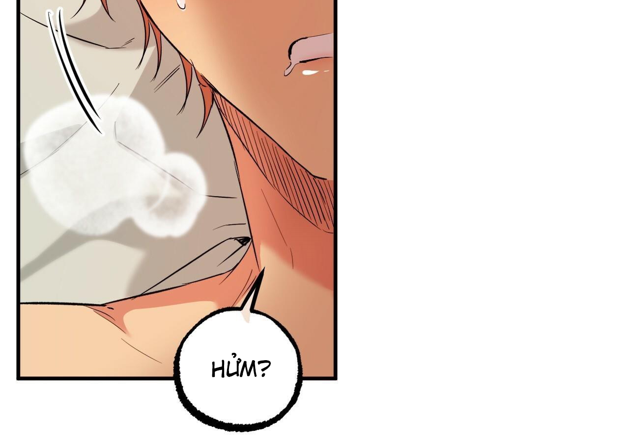 đàn thỏ của habibi chapter 54 210