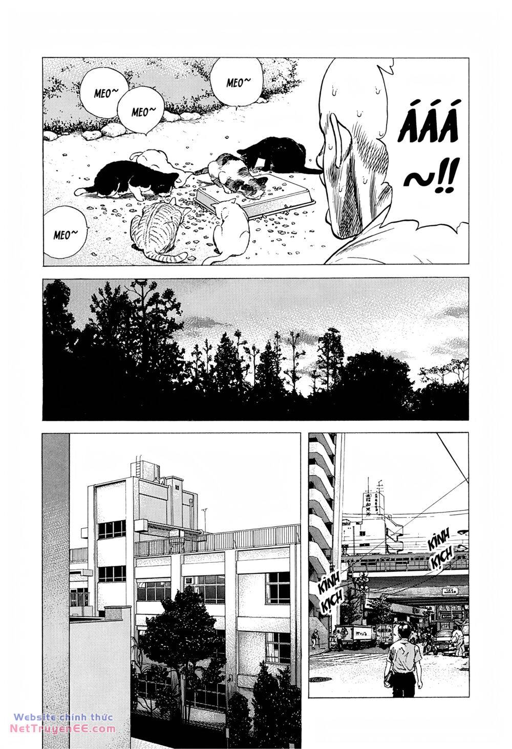 Maeda Taison Blues chapter 236 16