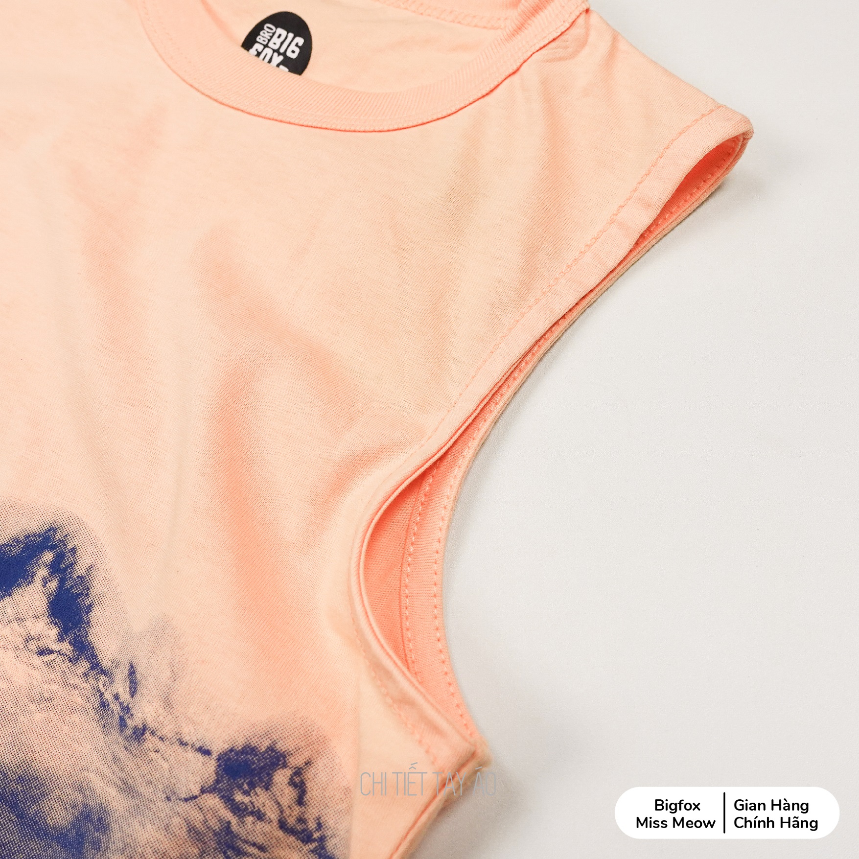 Bộ sát nách bé trai Bigfox Miss Meow mùa hè kiểu ba lỗ chất cotton in khủng long size đại 3,9,11 tuổi 25kg 40kg.1926