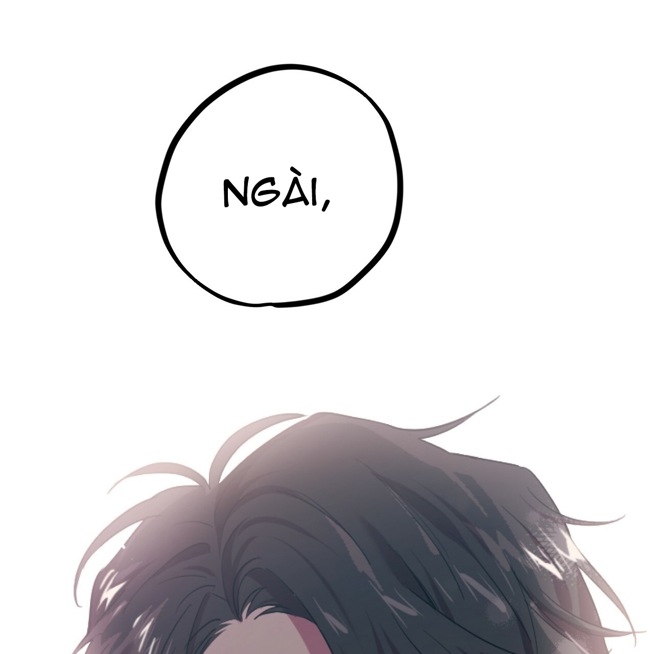 những chú thỏ của hapypy chapter 1 174