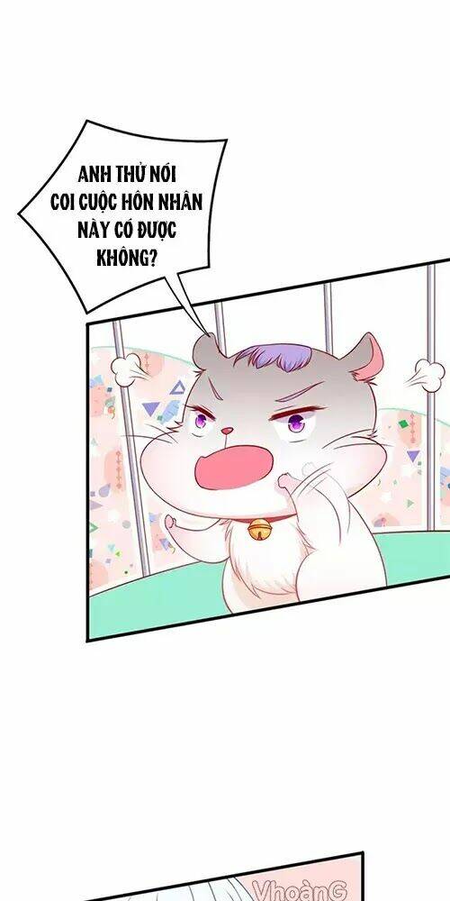 kế ước ngọt sủng:quốc dân lão công đích tiểu chiếm giữ thử chapter 2 27