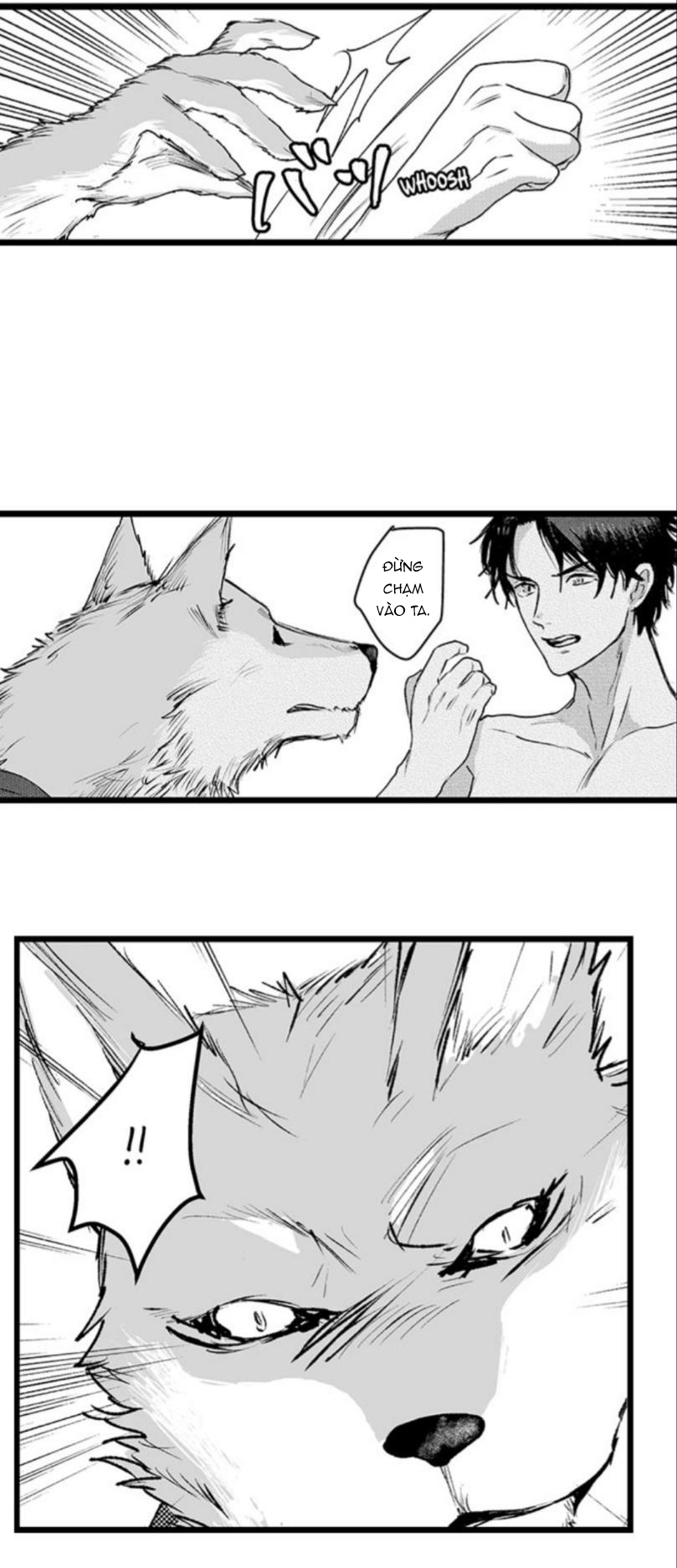 đứa con trai quái vật của tôi chapter 10.2 9