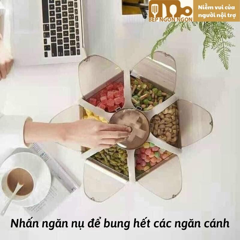 Khay mứt tết hình hoa sen 6 cánh nở bung_BEP NGON NGON