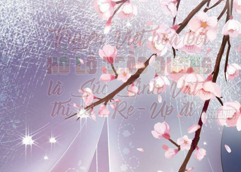 đứng yên ! phụng chỉ đánh cướp đây chapter 15 52