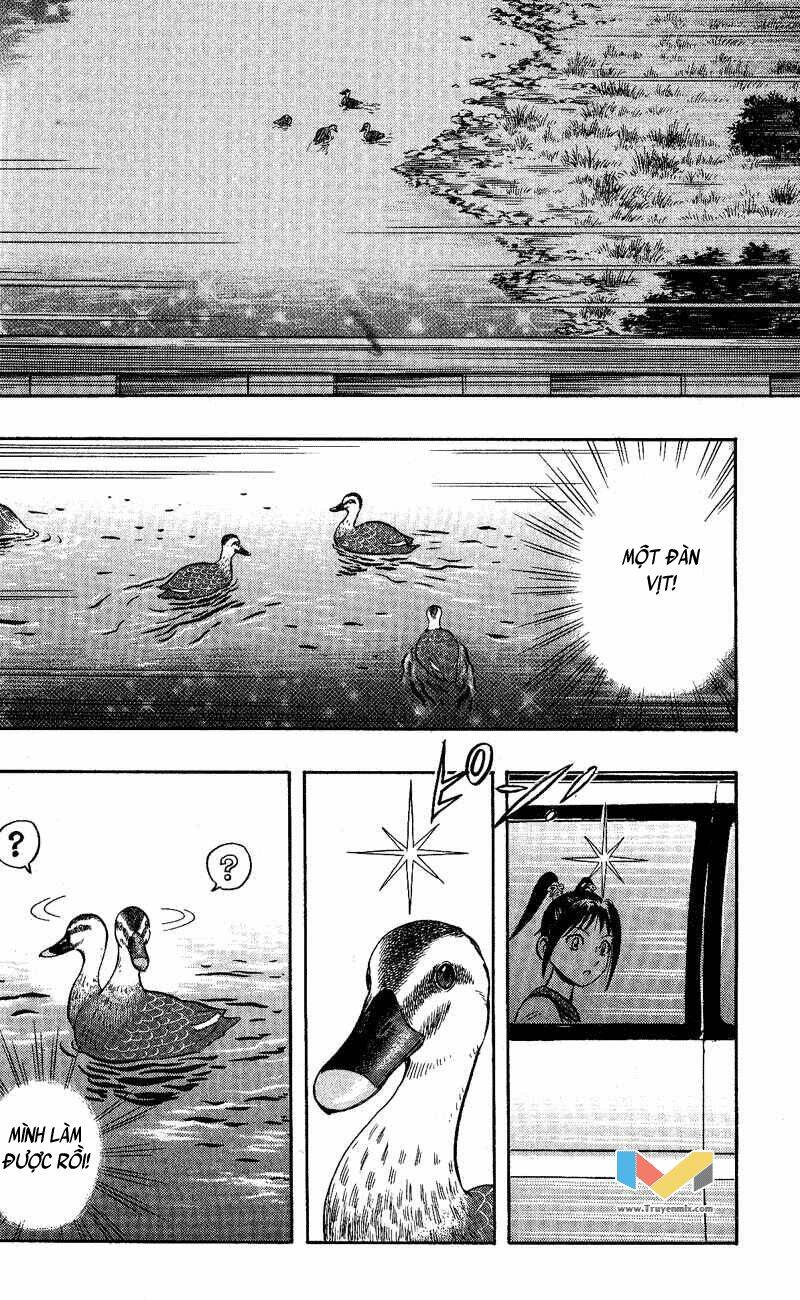 animal sense chapter 9 23