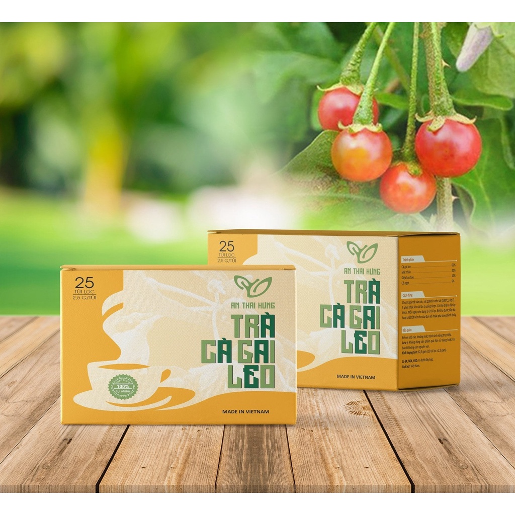 Trà thảo dược cao cấp Thái Hưng: CÀ GAI LEO