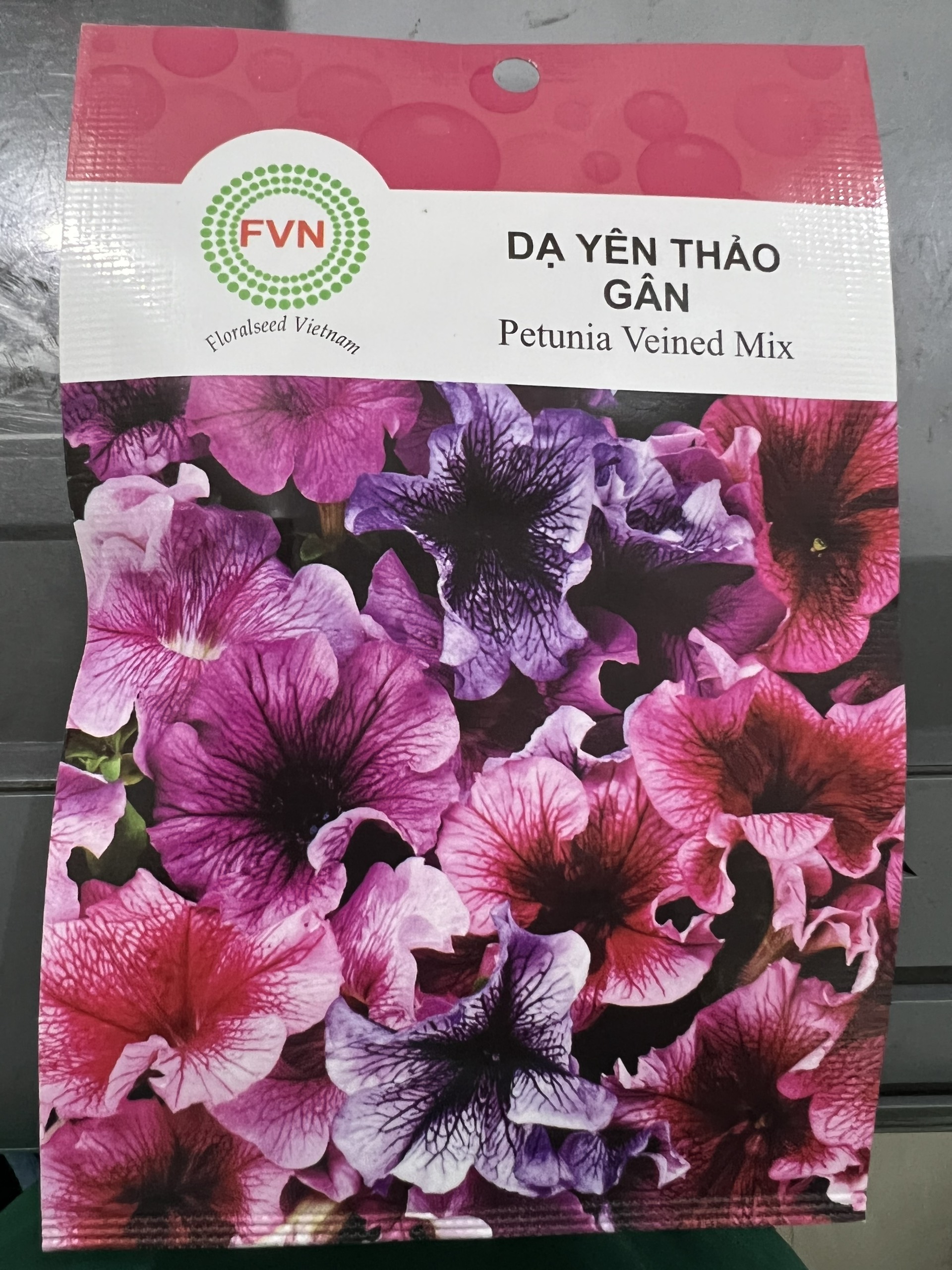 Hạt Giống Dạ Uyên Thảo Gân FVN