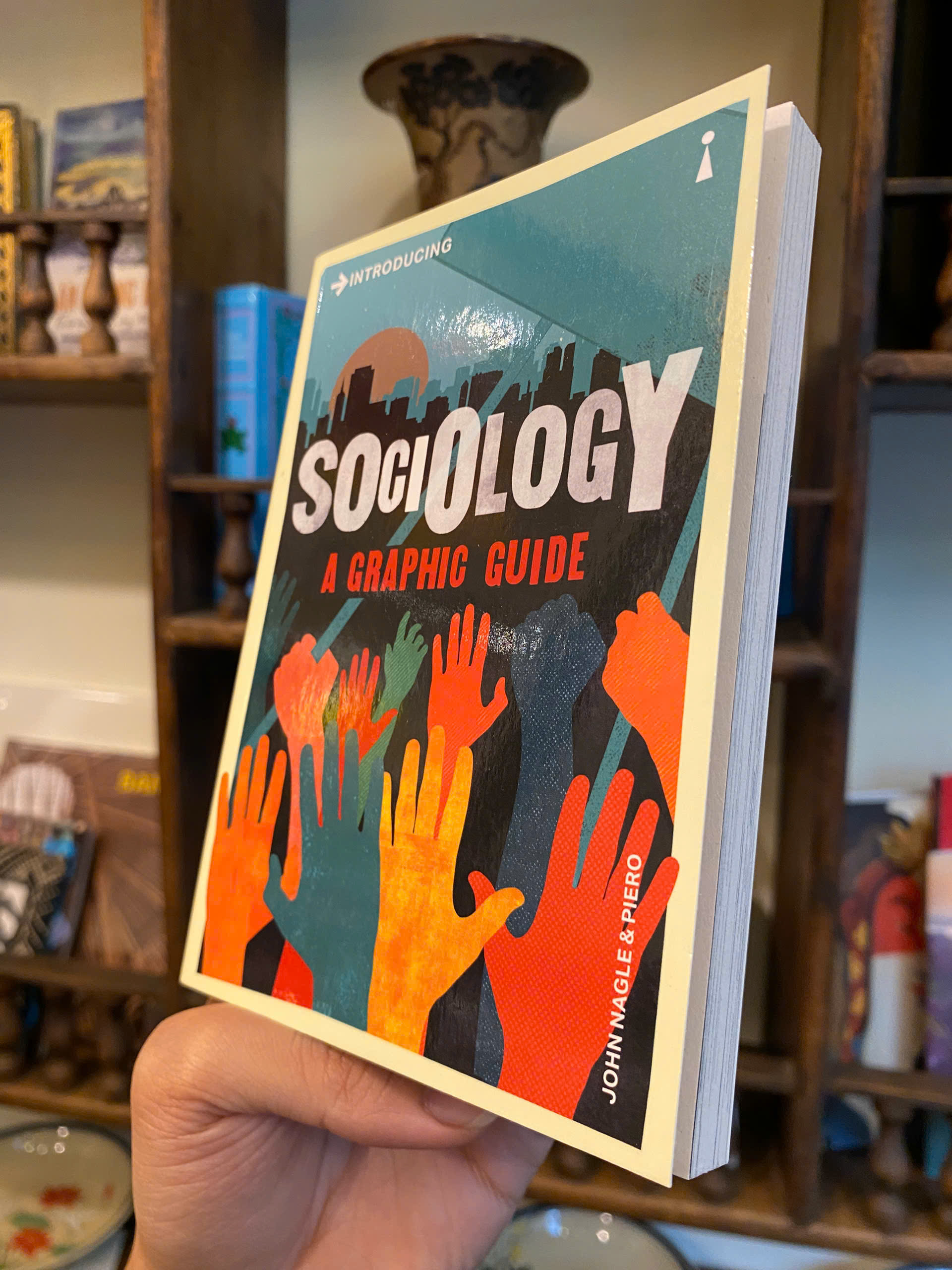 Sách - Introducing Sociology: A Graphic Guide (Graphic Guides) by John Nagle - Sociology/Nonfiction