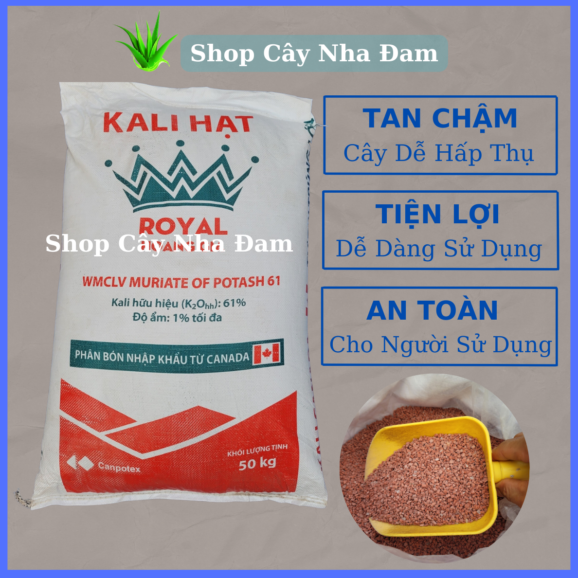 Phân KaLi Chuyên Kích Thích Siêu Ra Hoa Đậu Trái,Cứng Cây, Ngọt Quả, Dạng Bột Và Hạt