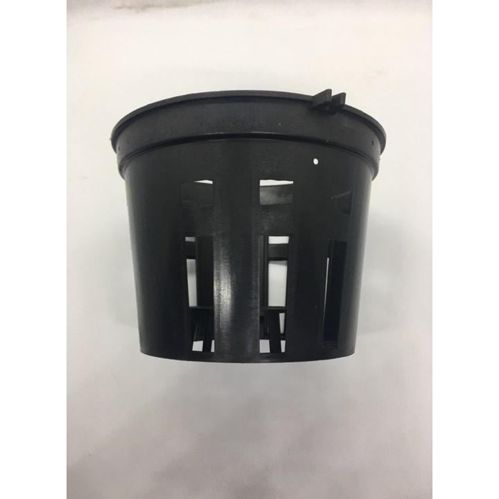 Combo 10 chậu lan đen phi 18 kèm 10 móc kẽm 70cm