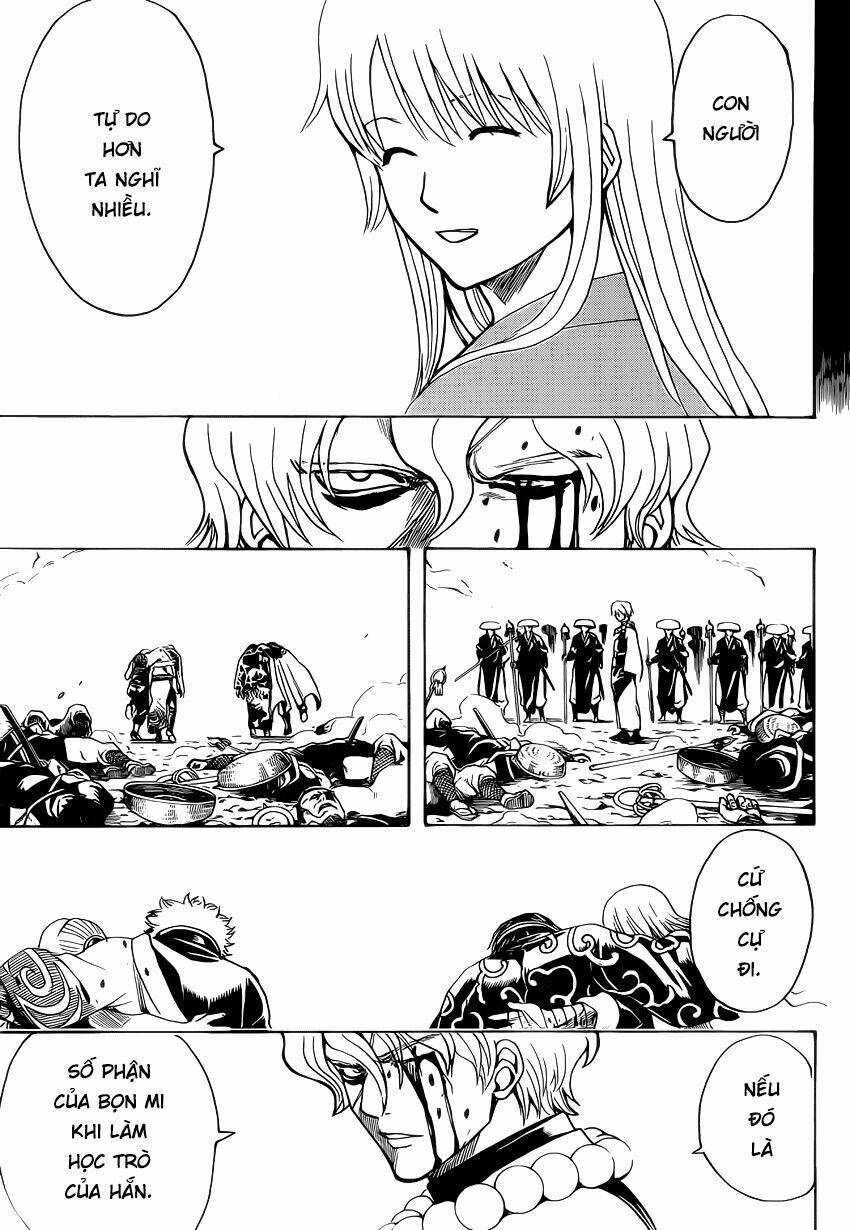 gintama - linh hồn bạc chapter 523 15