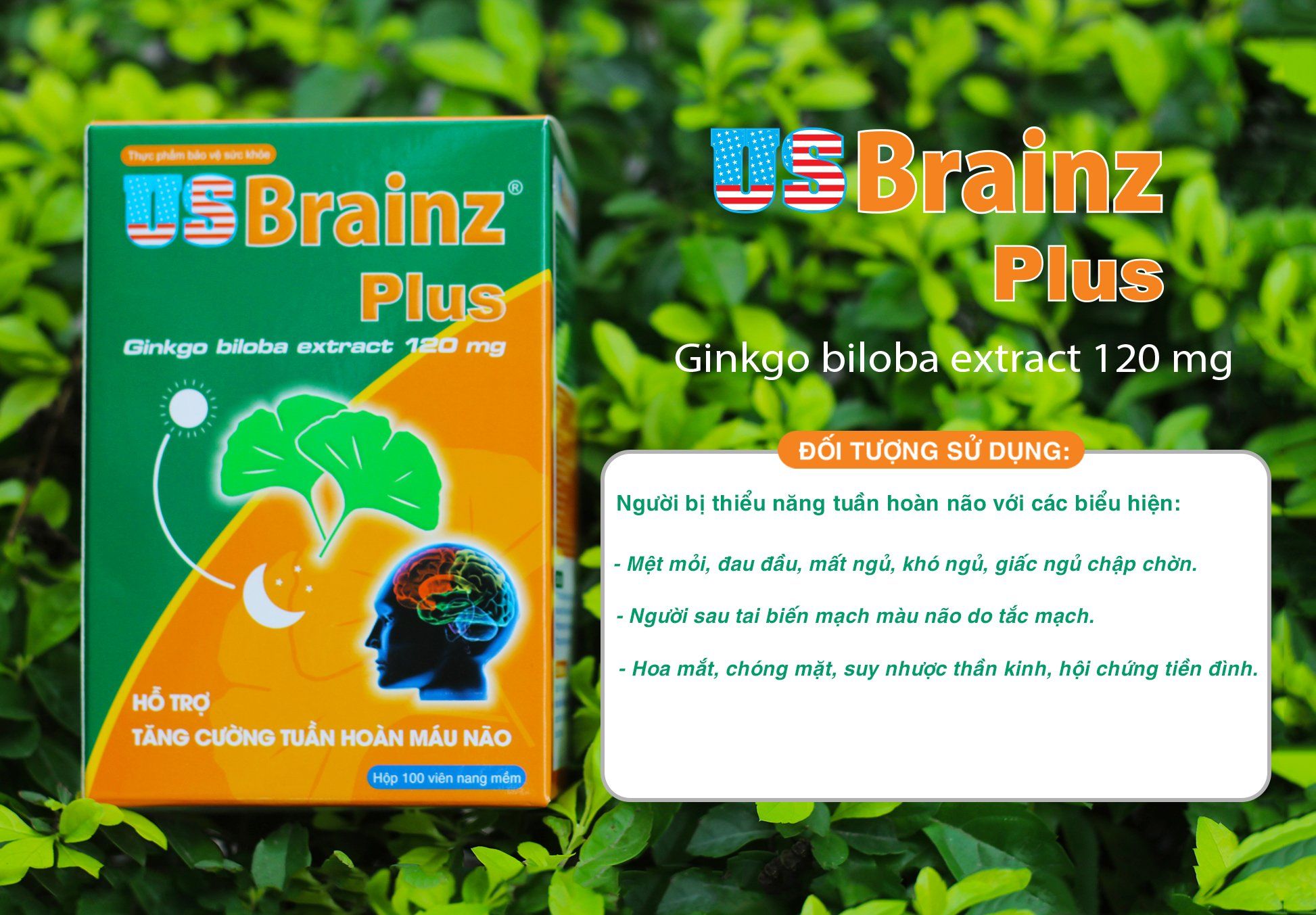 Bổ não - US Brain Plus tăng cường tuần hoàn máu não, giảm đau đầu chóng mặt, rối loạn tiền đình, hỗ trợ mất ngủ, hộp 60v