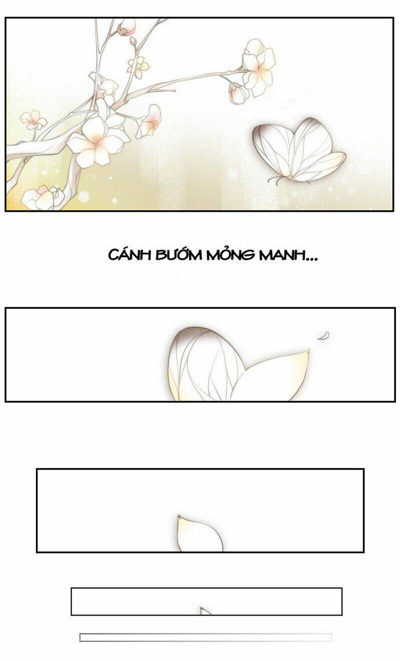 12 nights chapter 0 5