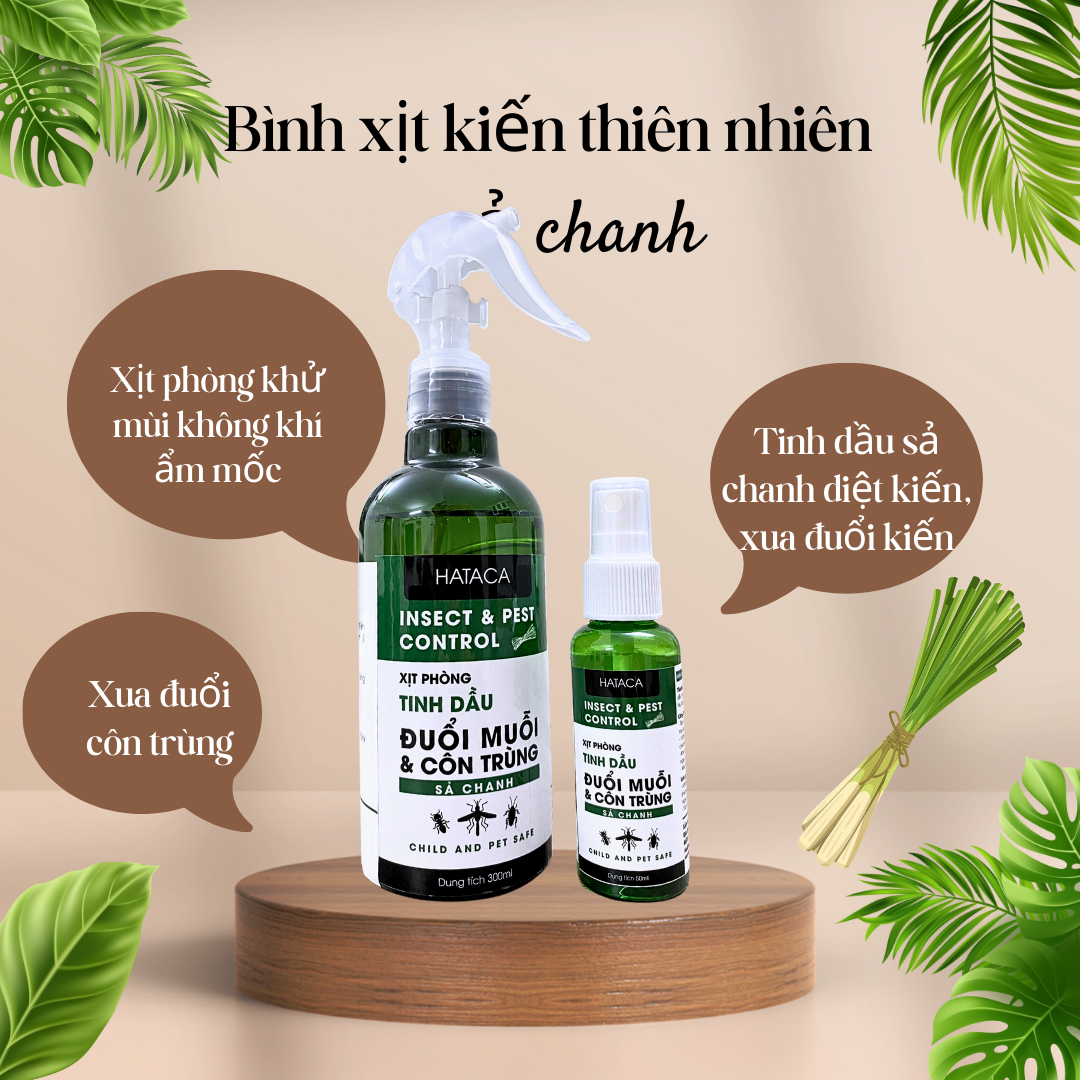 Bình xịt kiến Hataca 100% thiên nhiên-an toàn cho gia đình