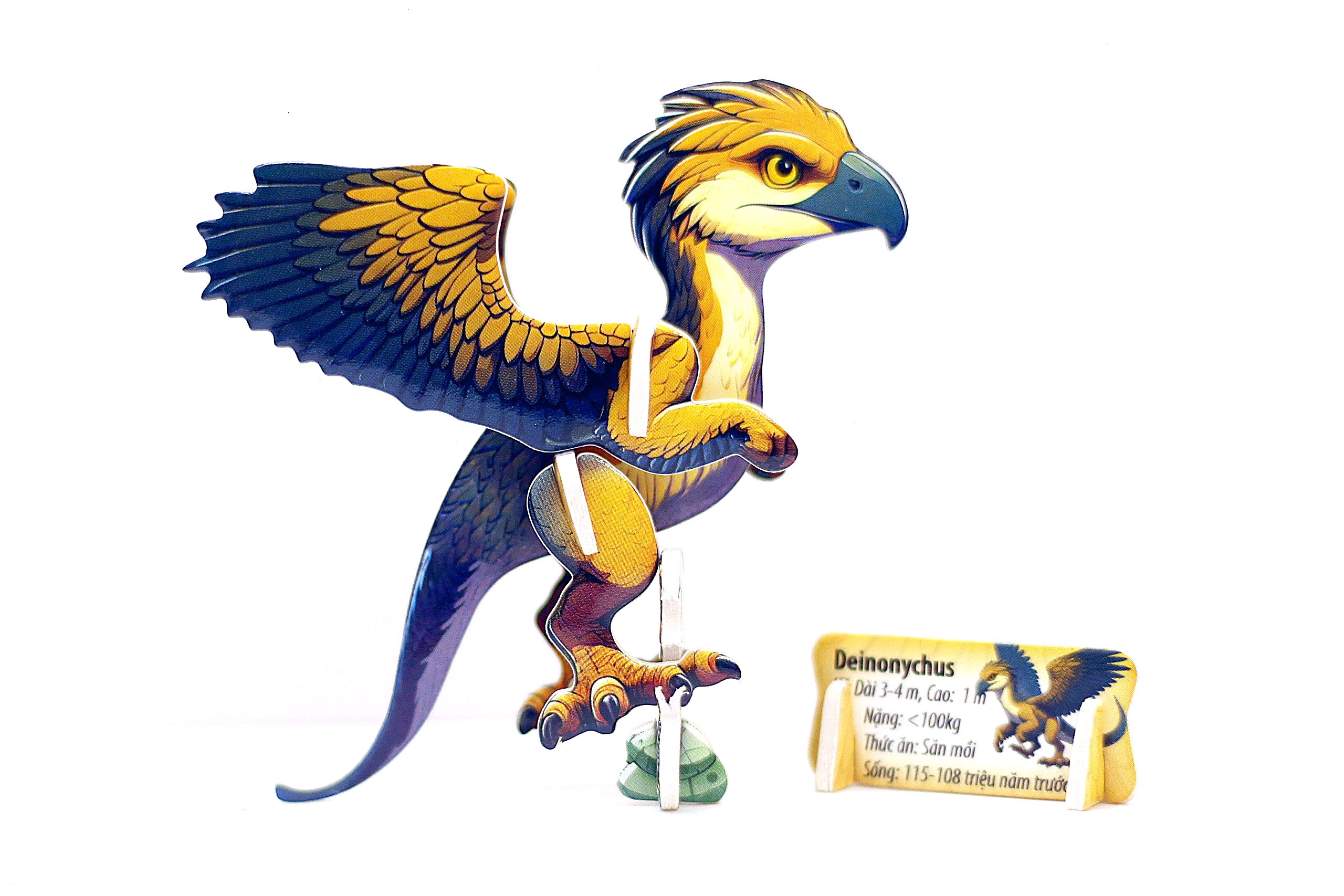 DINO-II (4IN 1)Ráp hình 3D