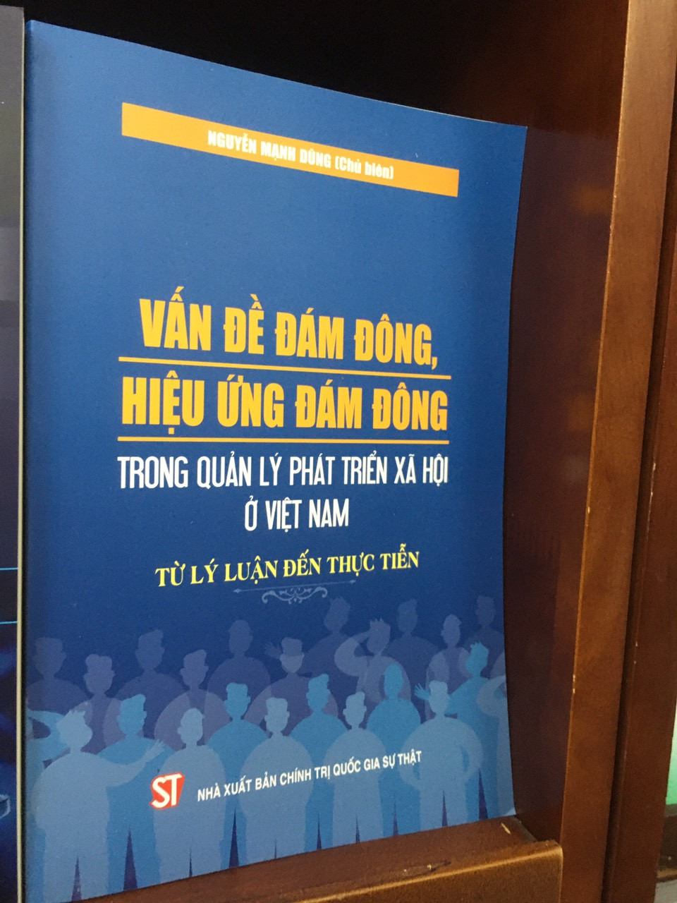 Vấn Đề Đám Đông, Hiệu Ứng Đám Đông Trong Quản Lý Phát Triển Xã Hội Ở Việt Nam - Từ lý luận đến thực tiễn - Nguyễn Mạnh Hùng (Chủ biên) - (bìa mềm)