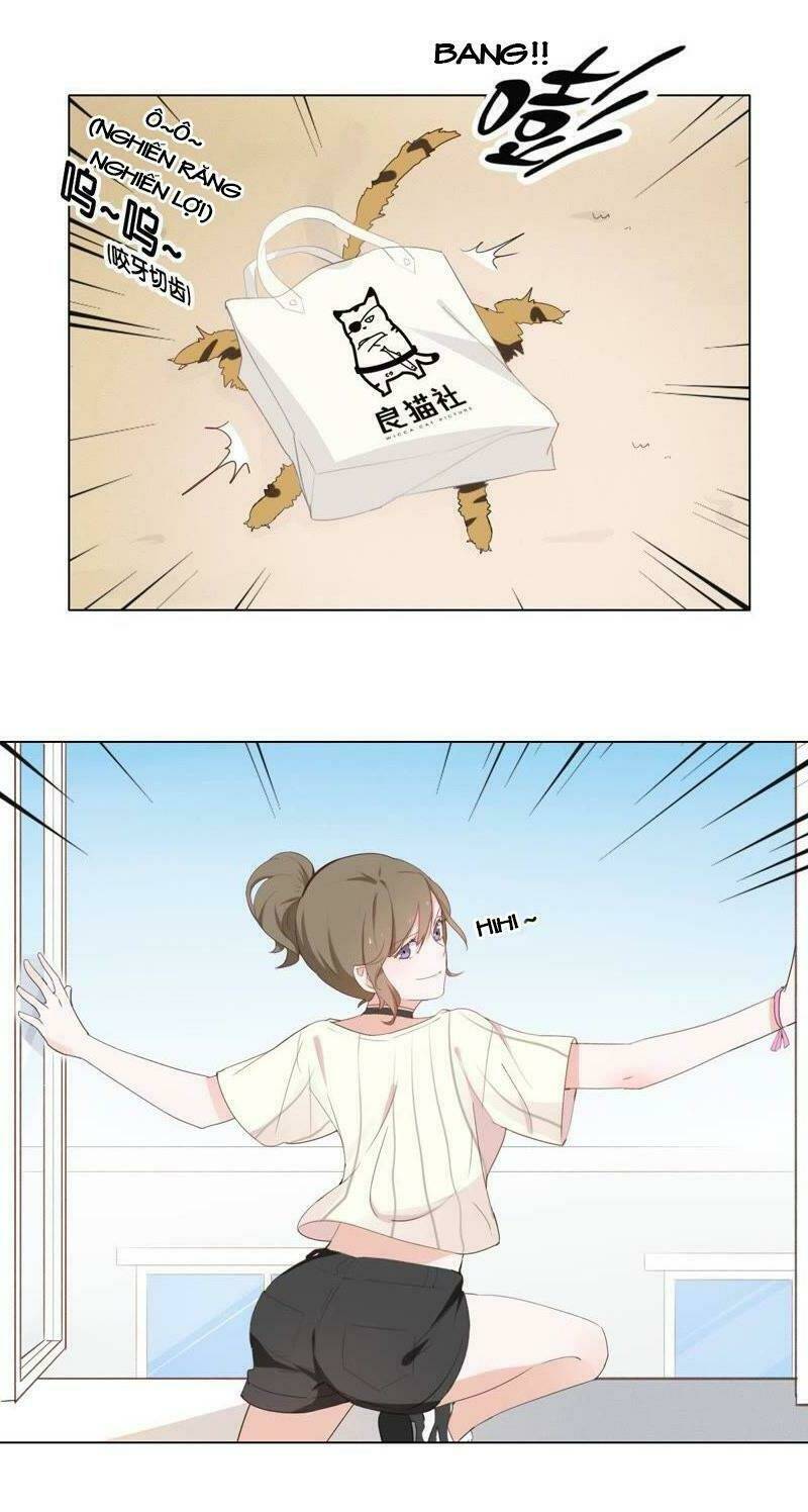 thập nhị hắc miêu chapter 1 19