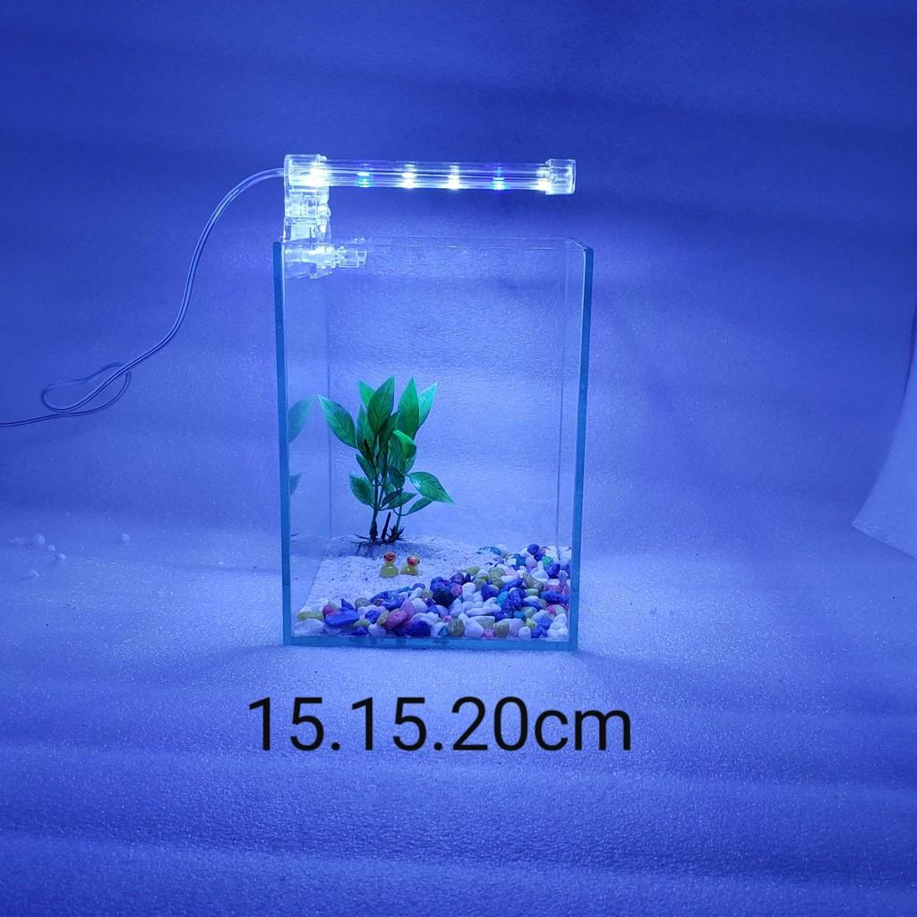 Bể cá mini - bể cá mini để bàn cao20cm - BCC20c