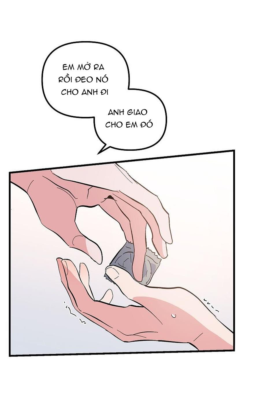 tình yêu cún con chapter 17.2 11