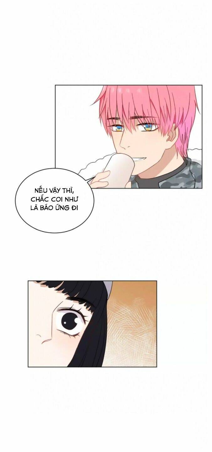 chào buổi sáng, hướng dương chapter 39 15