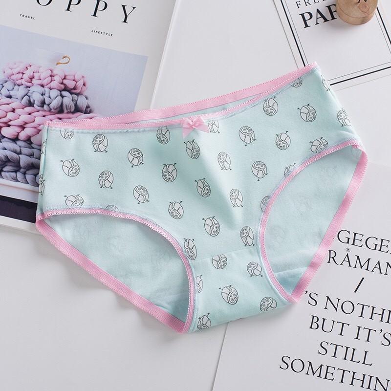 Quần Lót Nữ Cotton Kháng Khuẩn Hoa Tình yêu Xuất Hàn Hàng Loại đẹp.