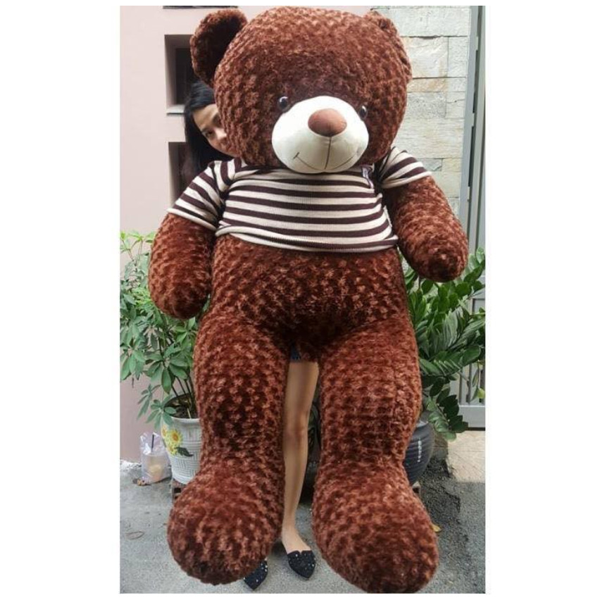 Gấu Teddy Oenpe Cao Cấp - Khổ 1m2 Cao 1m1 