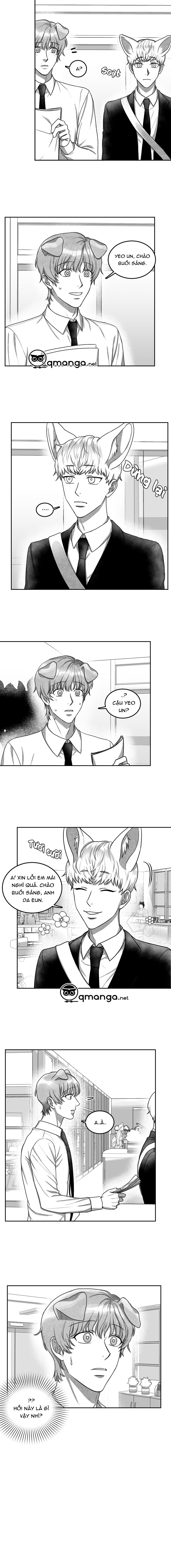 khi cún biết yêu chapter 14 2