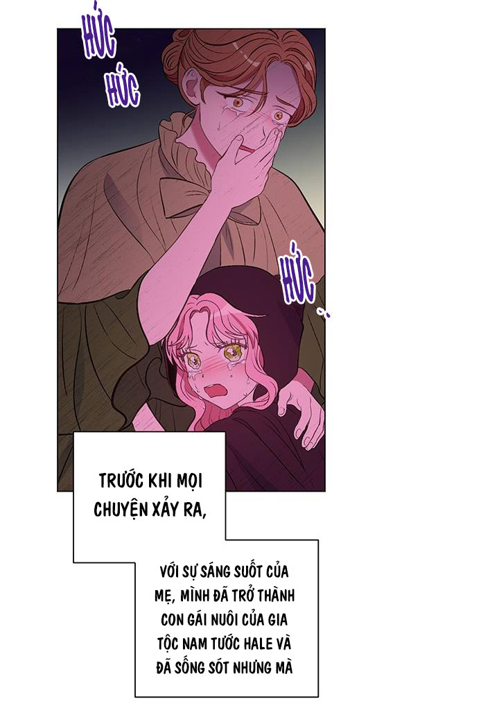 elizabeth chapter 12 27