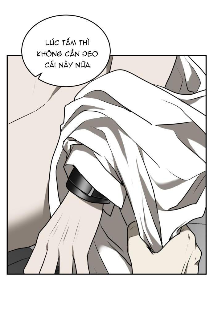 dưỡng thú cưng chapter 4 25