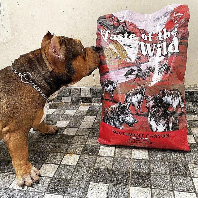 Thức Ăn Cho Chó Husky Taste Of The Wild Bao 2kg - Southwest Canyon Thức Ăn Cho Chó, Vị Thịt Heo Rừng, Trái Cây Rau Củ