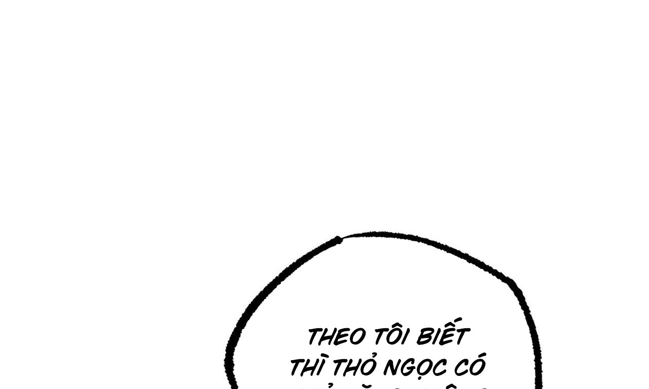 những chú thỏ của hapypy chapter 58 215