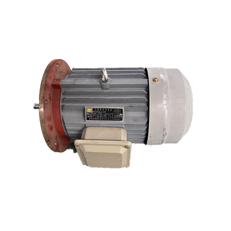 Vĩnh Chuyển YE3 Series Động cơ-100 Phụ tùng Phụ kiện động cơ mini Mô hình đầy đủ