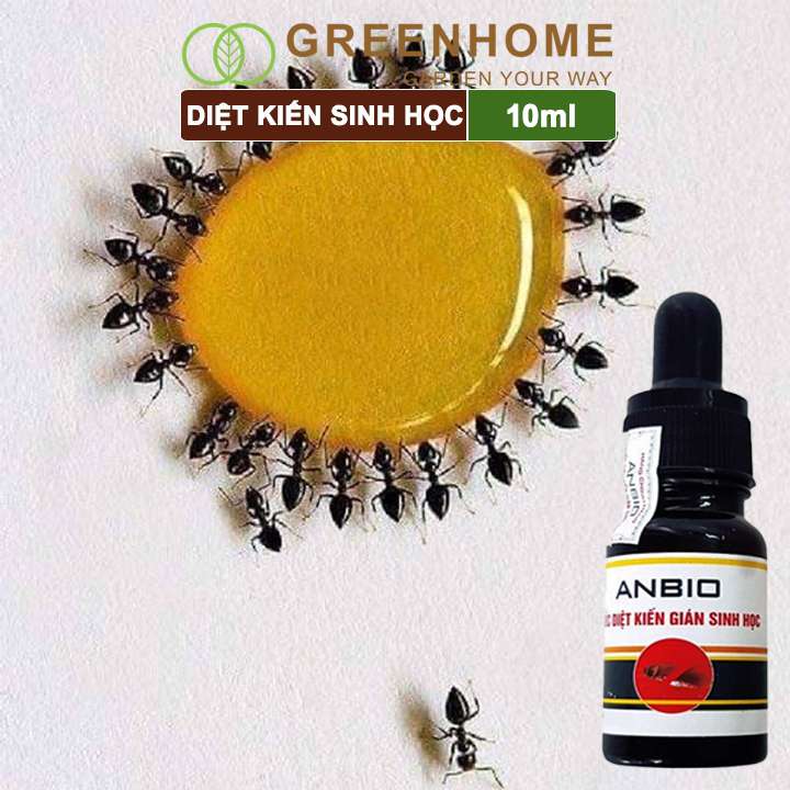 Thuốc diệt kiến gián sinh học Anbio, chai 10ml, an toàn, hiệu quả, tiết kiệm |Greenhome