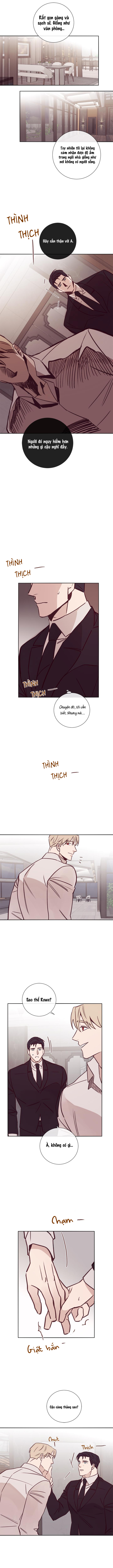 độc dược (marcel) chapter 16 2