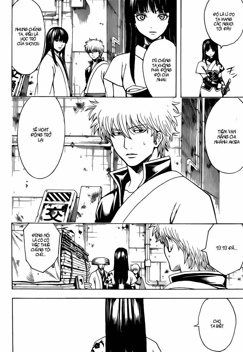 gintama - linh hồn bạc chapter 553 3