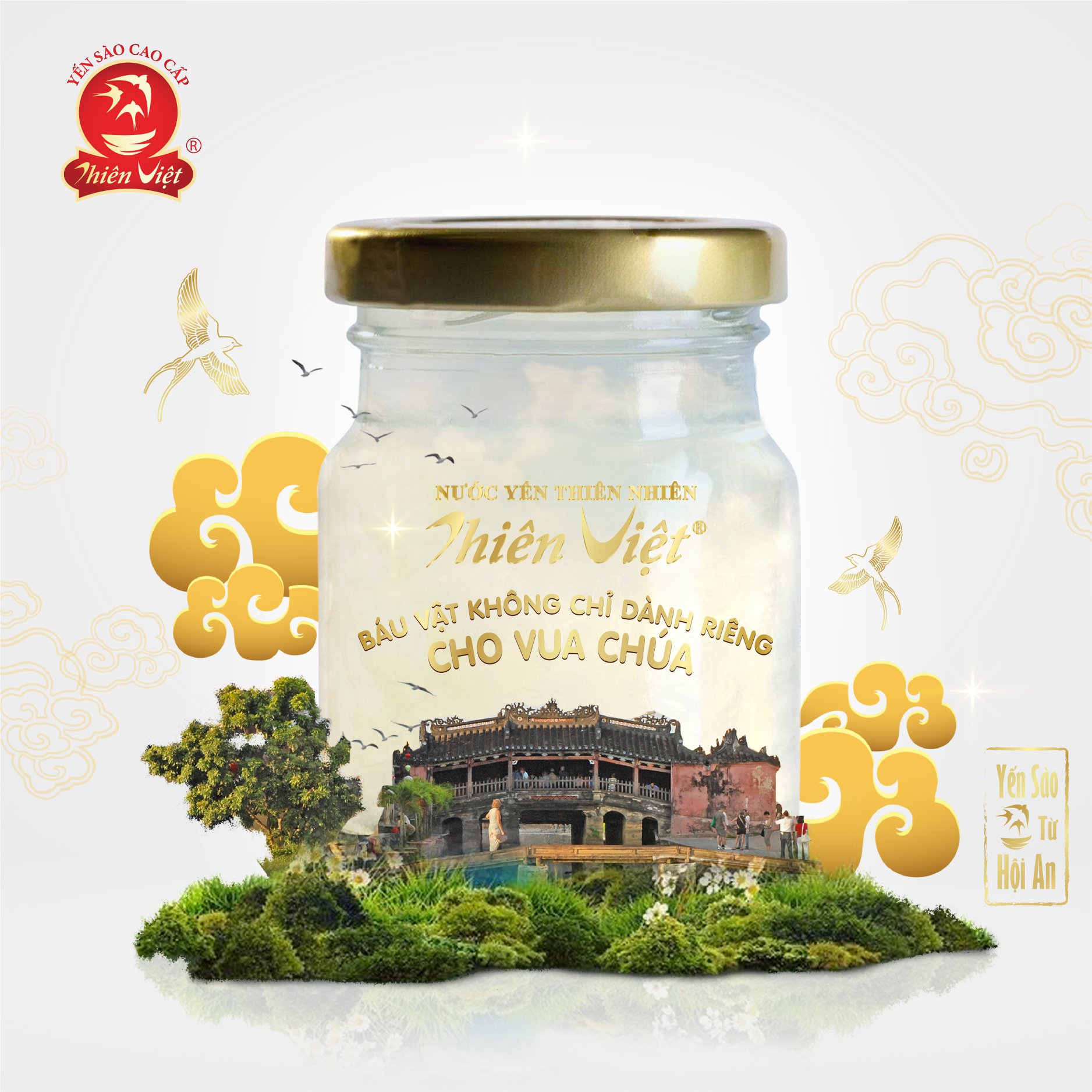 Combo 10 hũ Nước Yến Sào Cao Cấp Thiên Việt 15% Tổ yến (10 hũ x 70ml)