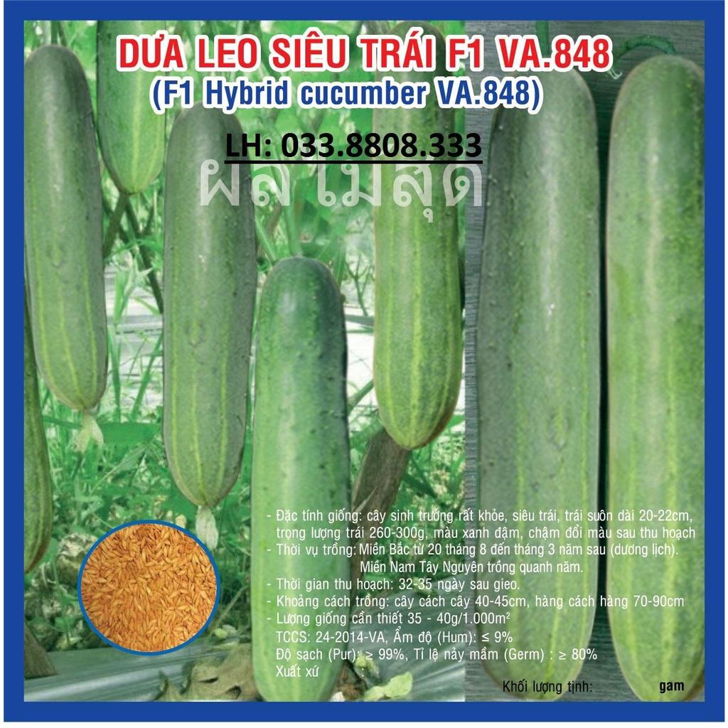 HẠT GIỐNG DƯA LEO SIÊU TRÁI VA.848 GÓI 10G - GIỐNG CHUẨN, CHẤT LƯỢNG CAO