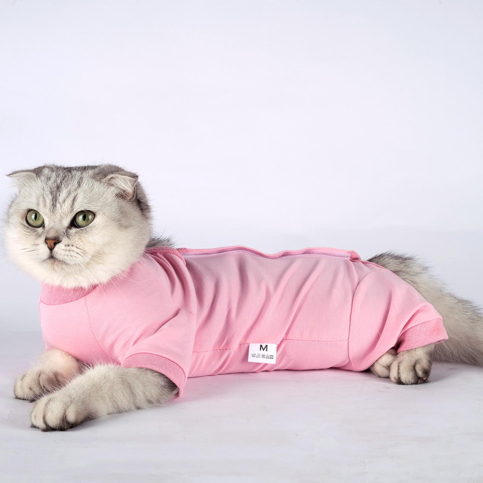 Bộ Đồ Phục Hồi Vết Thương Sau Khi Phẫu Thuật Cho Thú Cưng