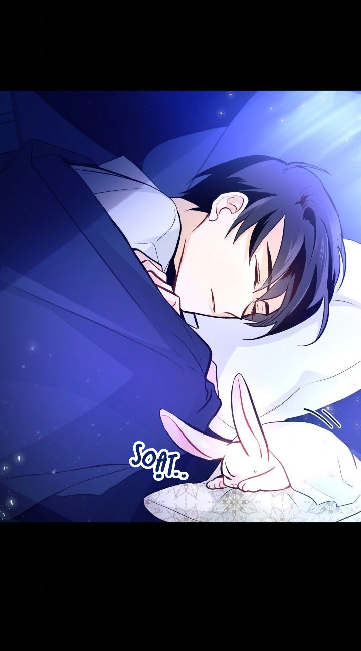 mối liên kết giữa báo đen và bé thỏ chapter 2 71