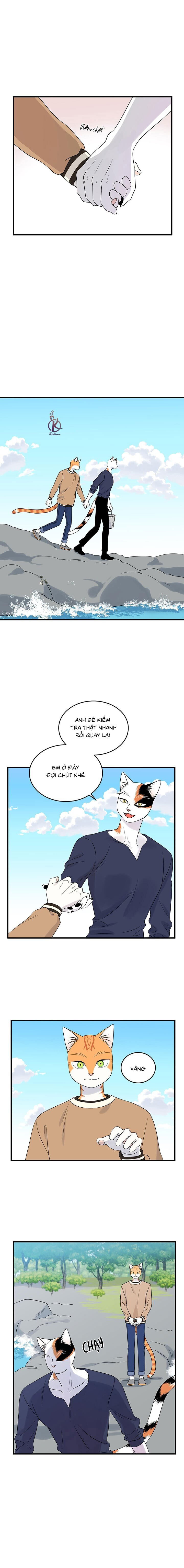 dự án xanh chapter 51 1