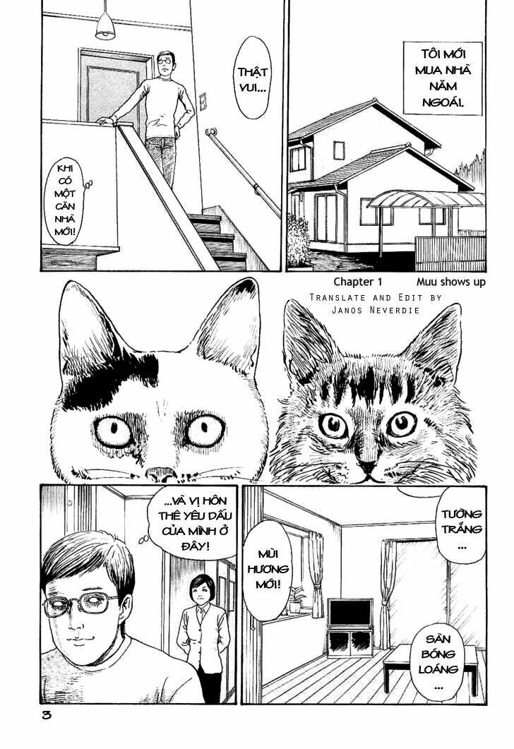ito junji cat's diary chapter 1 7