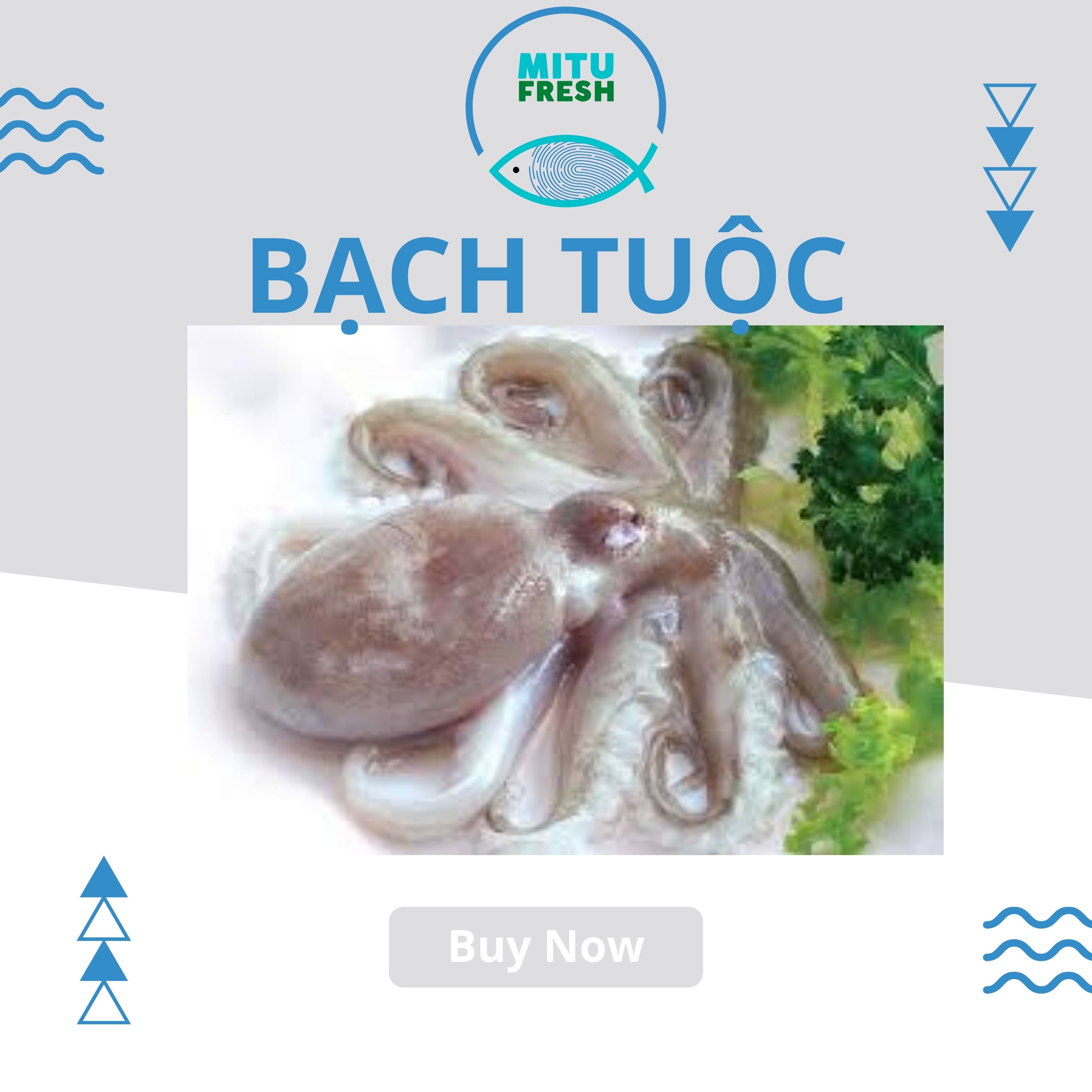 Bạch tuộc nguyên con (size 2-3 con/kg)