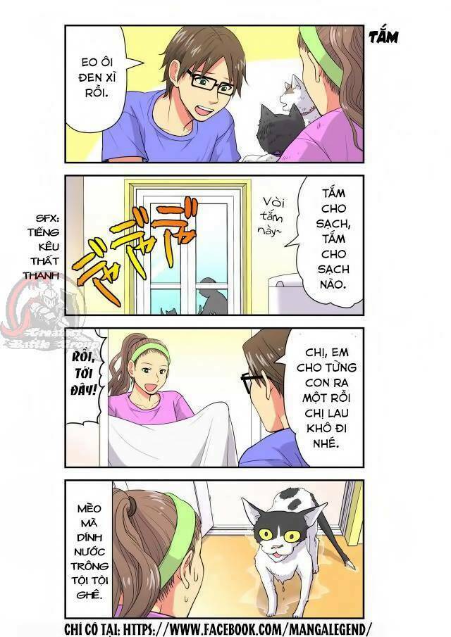 cat is silver vine chapter 19 4