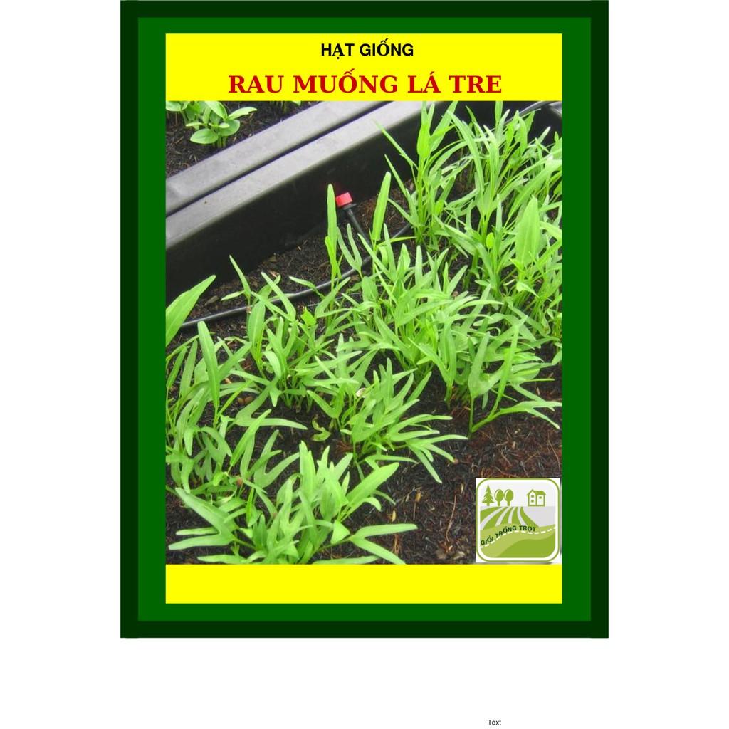 100G - Hạt Giống Rau Muống Lá Tre Việt Nam