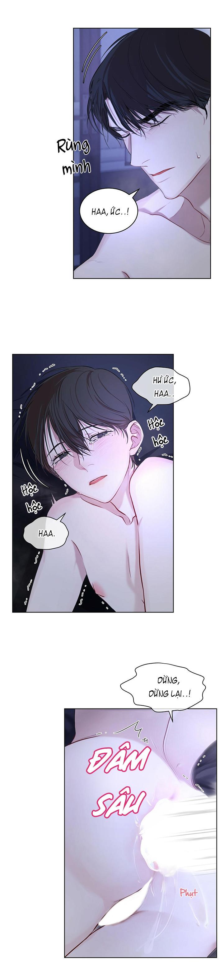 hình thái khởi sinh chapter 9 13