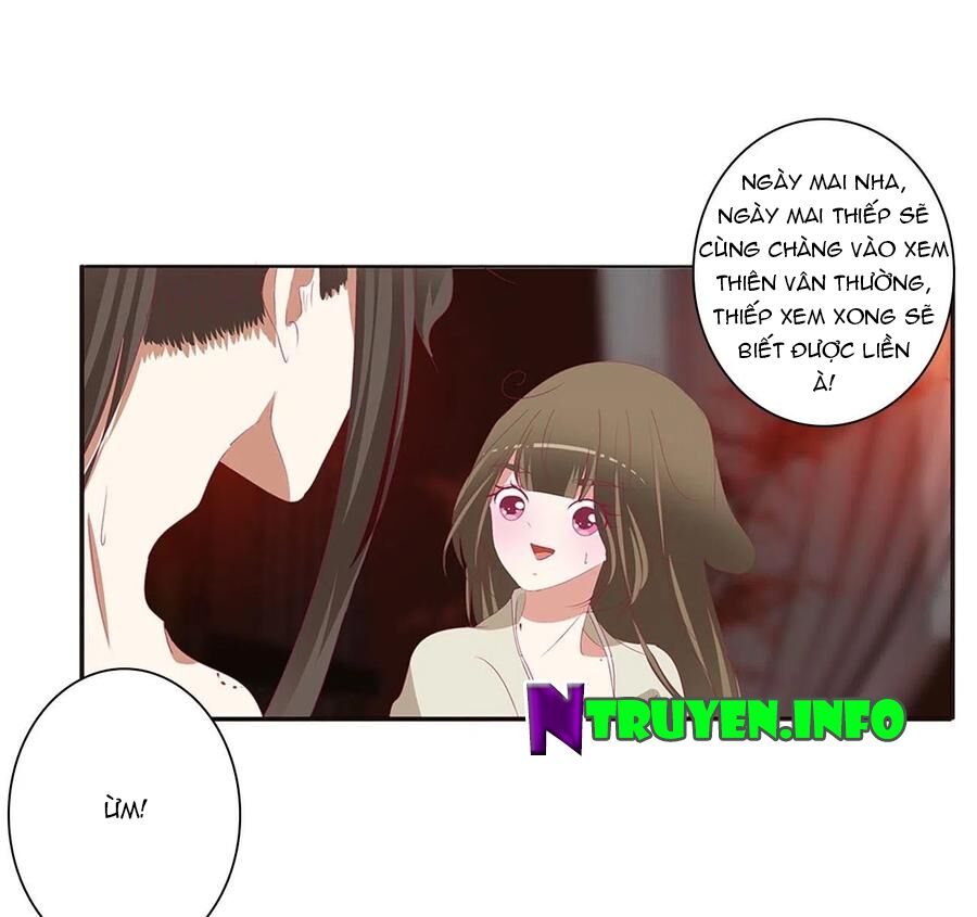 thông linh phi chapter 659 10